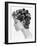 1960s Bouffant Hair Styles Created with Big Rollers and Pin Curls to Create a Soft Flip Up at Neck-null-Framed Photo