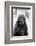 1960s CLOSE-UP OF ALPACA Vicugna pacos LOOKING AT CAMERA-H. Armstrong Roberts-Framed Photographic Print