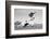 1960s FOOTBALL PLAYER JUMPING OVER BLOCKED PLAYERS-H. Armstrong Roberts-Framed Photographic Print