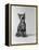 1960s Kitten Sitting and Yawning-null-Framed Premier Image Canvas