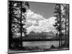 Photographic Print