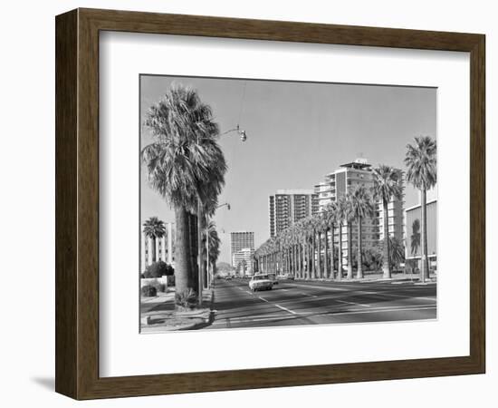 1960s Rows of Palm Trees Central Avenue Phoenix AZ-null-Framed Photographic Print