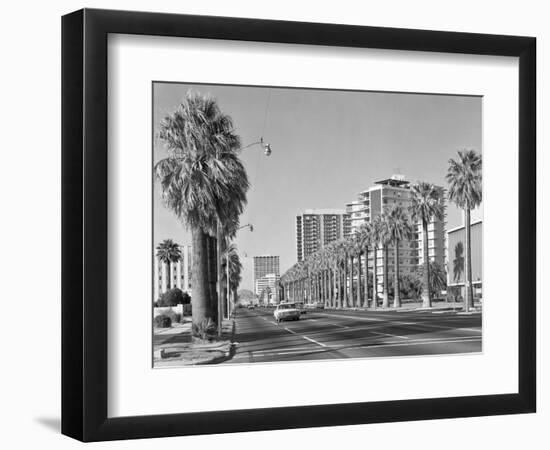 1960s Rows of Palm Trees Central Avenue Phoenix AZ-null-Framed Photographic Print