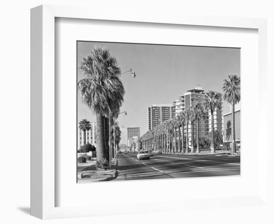 1960s Rows of Palm Trees Central Avenue Phoenix AZ-null-Framed Photographic Print