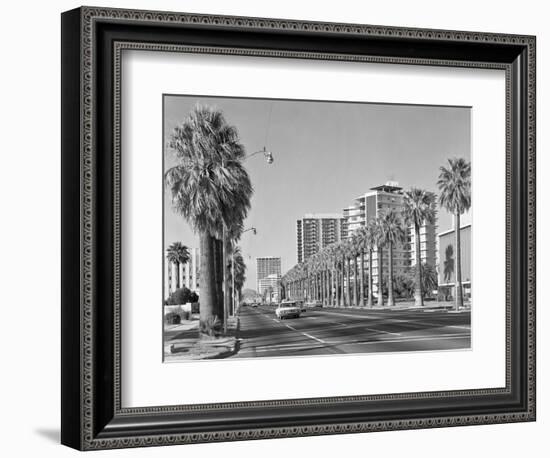 1960s Rows of Palm Trees Central Avenue Phoenix AZ-null-Framed Photographic Print