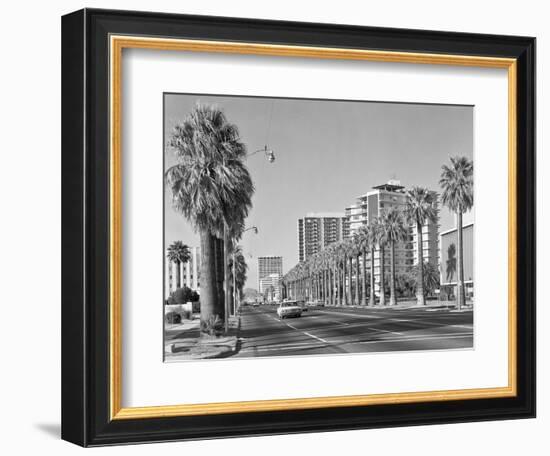 1960s Rows of Palm Trees Central Avenue Phoenix AZ-null-Framed Photographic Print