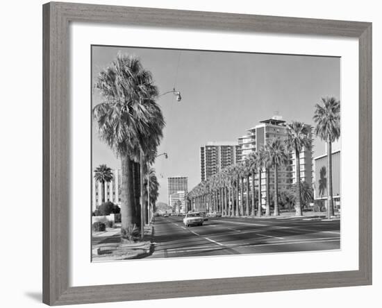 1960s Rows of Palm Trees Central Avenue Phoenix AZ-null-Framed Photographic Print