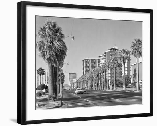 1960s Rows of Palm Trees Central Avenue Phoenix AZ-null-Framed Photographic Print