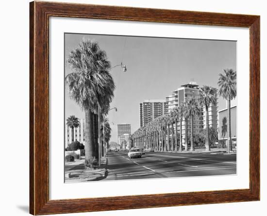 1960s Rows of Palm Trees Central Avenue Phoenix AZ-null-Framed Photographic Print