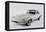 1962 Jaguar E type-S. Clay-Framed Premier Image Canvas