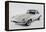 1962 Jaguar E type-S. Clay-Framed Premier Image Canvas