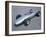 1962 Porsche Formula 1 Racing Car-null-Framed Photographic Print