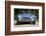 1964 AC Cobra MKII 289-null-Framed Photographic Print