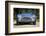 1964 AC Cobra MKII 289-null-Framed Photographic Print