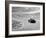 1964 Chevrolet Corvette Stingray on a Winding Racetrack, (C1964)-null-Framed Photographic Print