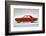 1964 Dodge Dart 270 4 Door-null-Framed Art Print