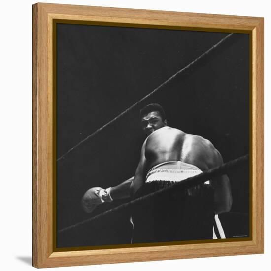 1965 Boxing Match Between the Heavyweight Champ Sonny Liston and Challenger Cassius Clay-George Silk-Framed Premier Image Canvas