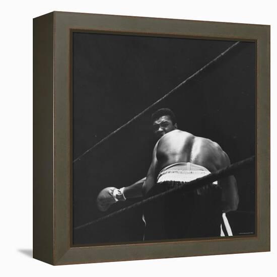 1965 Boxing Match Between the Heavyweight Champ Sonny Liston and Challenger Cassius Clay-George Silk-Framed Premier Image Canvas