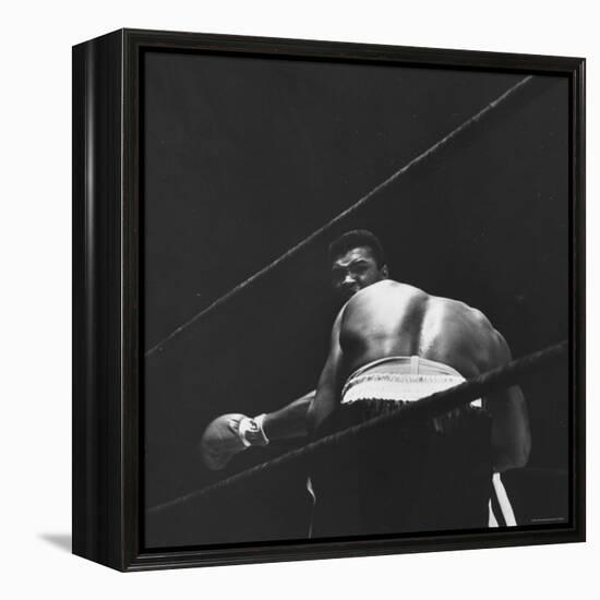 1965 Boxing Match Between the Heavyweight Champ Sonny Liston and Challenger Cassius Clay-George Silk-Framed Premier Image Canvas