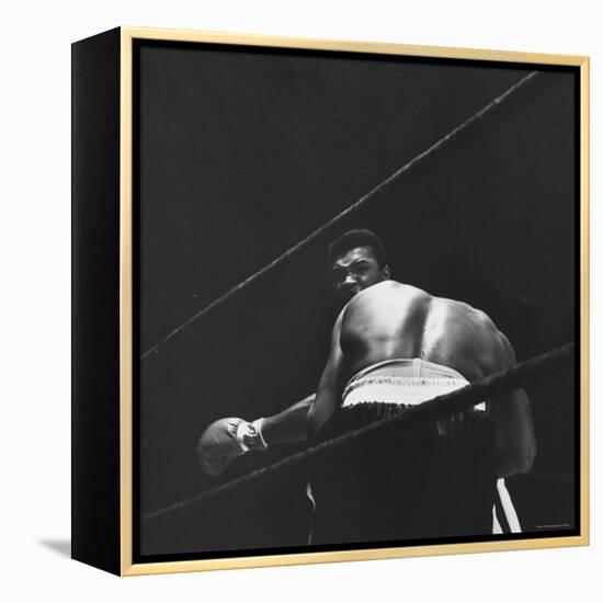 1965 Boxing Match Between the Heavyweight Champ Sonny Liston and Challenger Cassius Clay-George Silk-Framed Premier Image Canvas