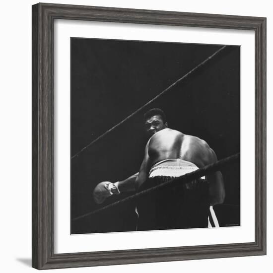 1965 Boxing Match Between the Heavyweight Champ Sonny Liston and Challenger Cassius Clay-George Silk-Framed Premium Photographic Print