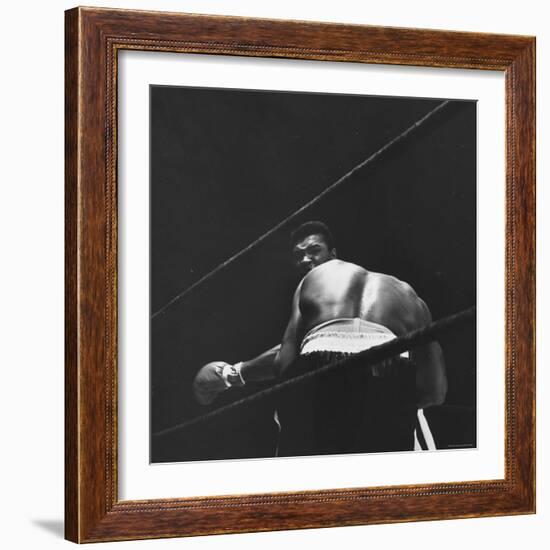 1965 Boxing Match Between the Heavyweight Champ Sonny Liston and Challenger Cassius Clay-George Silk-Framed Premium Photographic Print