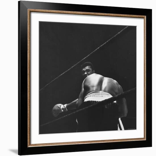 1965 Boxing Match Between the Heavyweight Champ Sonny Liston and Challenger Cassius Clay-George Silk-Framed Premium Photographic Print