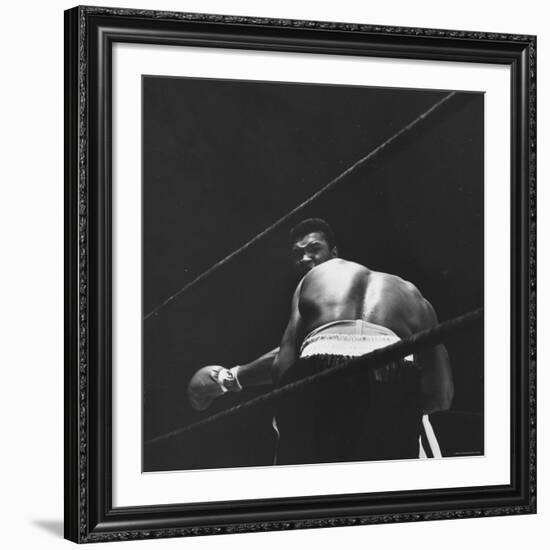 1965 Boxing Match Between the Heavyweight Champ Sonny Liston and Challenger Cassius Clay-George Silk-Framed Premium Photographic Print