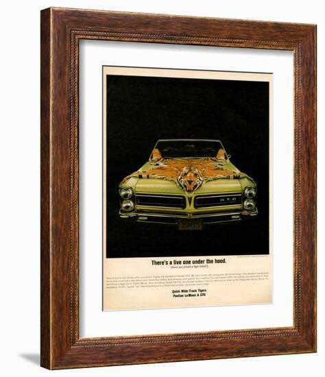 1965 Pontiac Gto Tiger Hood-null-Framed Art Print