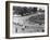 1966 British Grand Prix, Brands Hatch, Kent-null-Framed Photographic Print