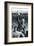 1966-The Chelsea Collection-Framed Premium Giclee Print