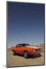 1969 Chevrolet Camaro Z28-S. Clay-Mounted Photographic Print