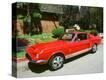 Stretched Canvas Print