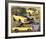 1969 Z28 Camaro-null-Framed Art Print