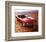 1970 Plymouth Cuda Hemi & Tie-null-Framed Art Print