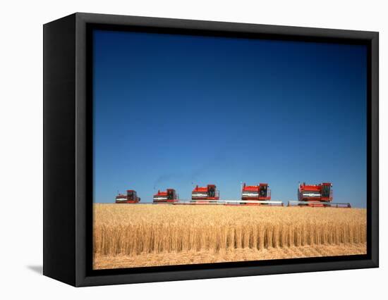 1970s Five Massey Ferguson Combines Harvesting Wheat Nebraska-null-Framed Premier Image Canvas