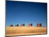 1970s Five Massey Ferguson Combines Harvesting Wheat Nebraska-null-Mounted Photographic Print