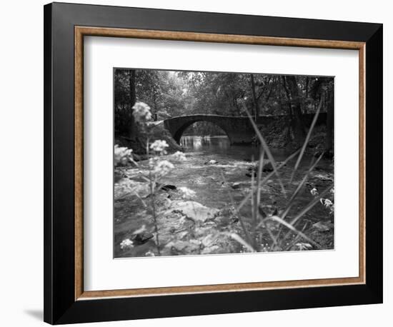 1970s Stream with Stone Bridge in Wooded Area-null-Framed Photographic Print