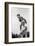 1970s TWO BOYS PLAYING LEAPFROG ONE VAULTING OVER THE OTHER-H. Armstrong Roberts-Framed Photographic Print