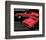 1971 Mustang - Trans-Am Winner-null-Framed Art Print