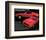 1971 Mustang - Trans-Am Winner-null-Framed Art Print