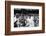 1971 Wimbledon: Australia's Rod Laver (L) and U.S.A Tom Gorman on Centre Court after their Match-Alfred Eisenstaedt-Framed Photographic Print