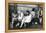 1971 Wimbledon-Alfred Eisenstaedt-Framed Premier Image Canvas