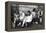 1971 Wimbledon-Alfred Eisenstaedt-Framed Premier Image Canvas