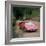 1974 Lamborghini Countach-null-Framed Photographic Print