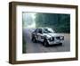1981 Ford Escort RS1800-null-Framed Photographic Print