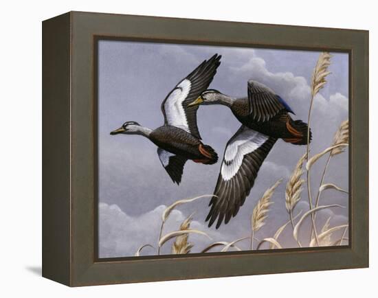 1982-1983 Black Ducks-Wilhelm Goebel-Framed Premier Image Canvas