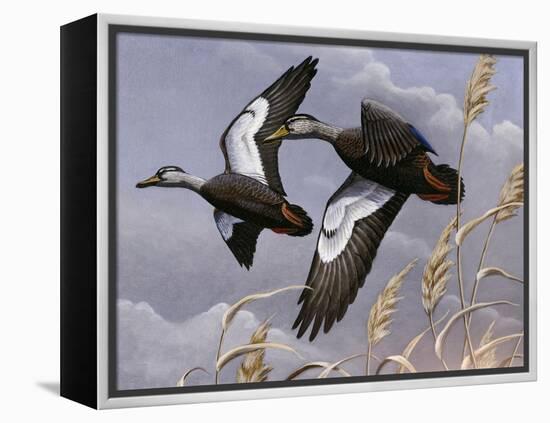 1982-1983 Black Ducks-Wilhelm Goebel-Framed Premier Image Canvas