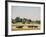 1990s Small Group of Horses Beside White Pasture Fence Late in Summer-null-Framed Photographic Print