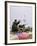 1991 Gulf War Kuwait Liberation-David Longstreath-Framed Photographic Print